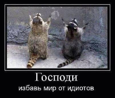 А-А-Идиоты..jpg
