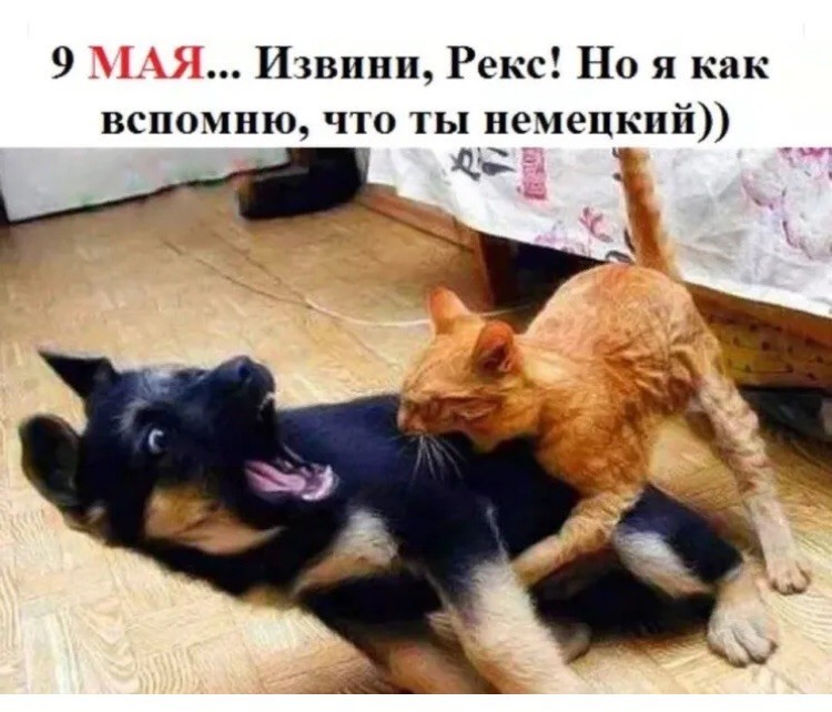 Улыбнитесь.jpg