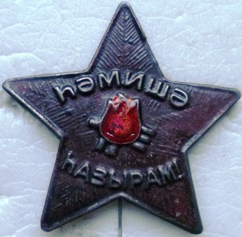 P1260774.jpg