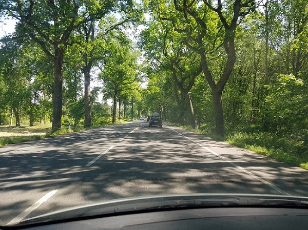 20190602_114049.jpg