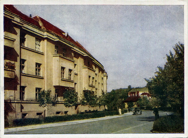 63.jpg
