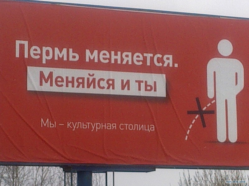 330973.jpg