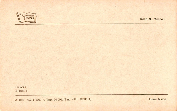509.jpg