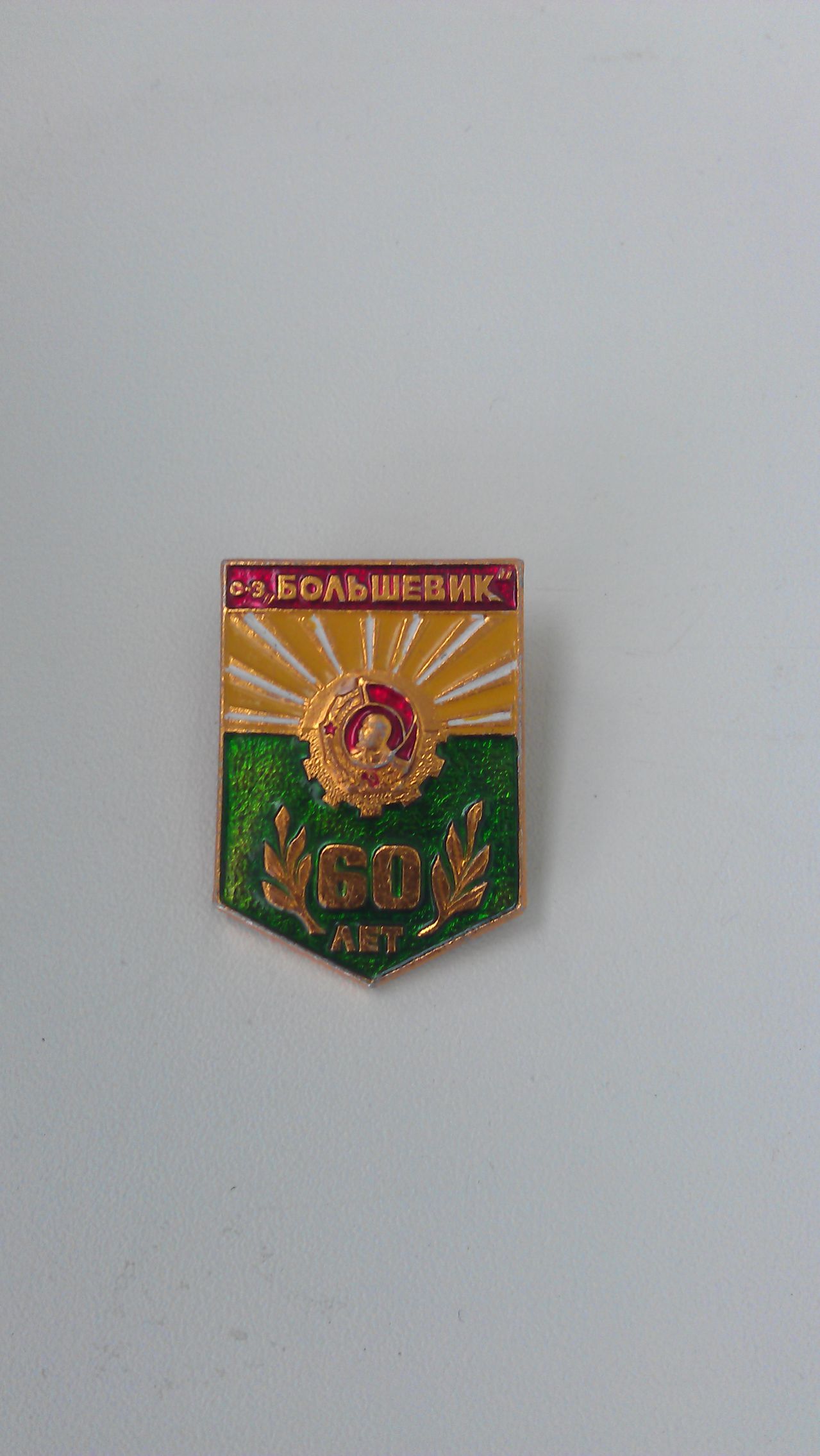 IMAG1226.jpg