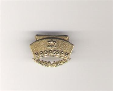 Magen David nurse pin.jpg