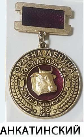 ineed-230000000.jpg