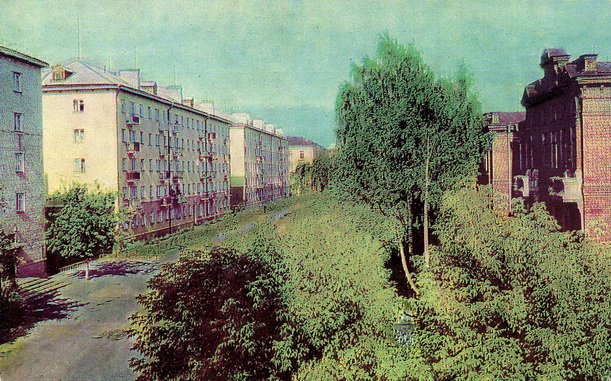 110.jpg
