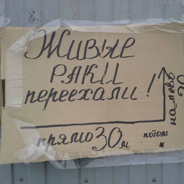 1555589521_zabavnye-nadpisi_xaxa-net.ru-9.jpg
