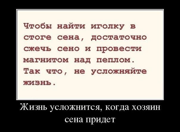P1YhBFrqCfE.jpg