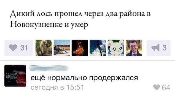 oLQVyDXGlTs.jpg