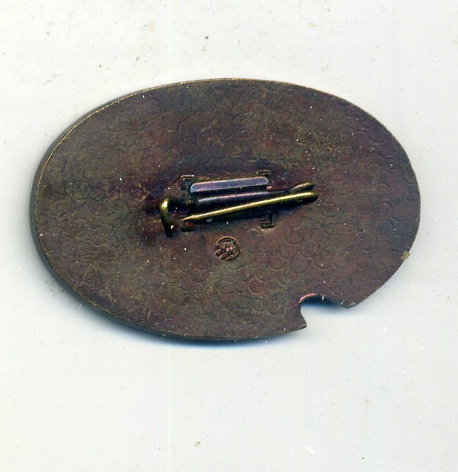 img391.jpg