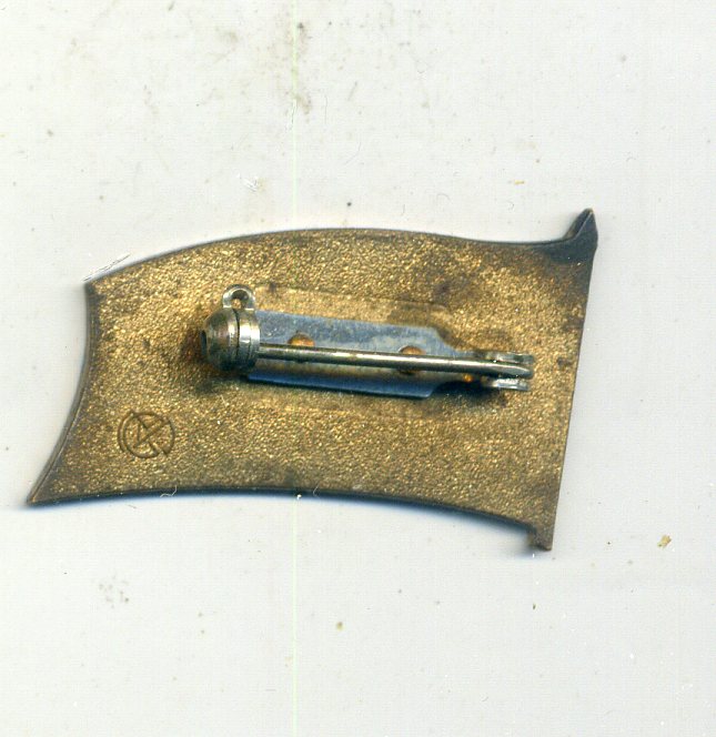 img393.jpg