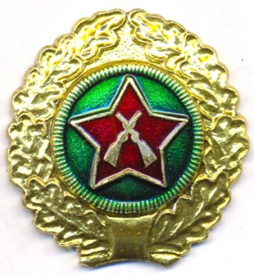 лес1.jpg