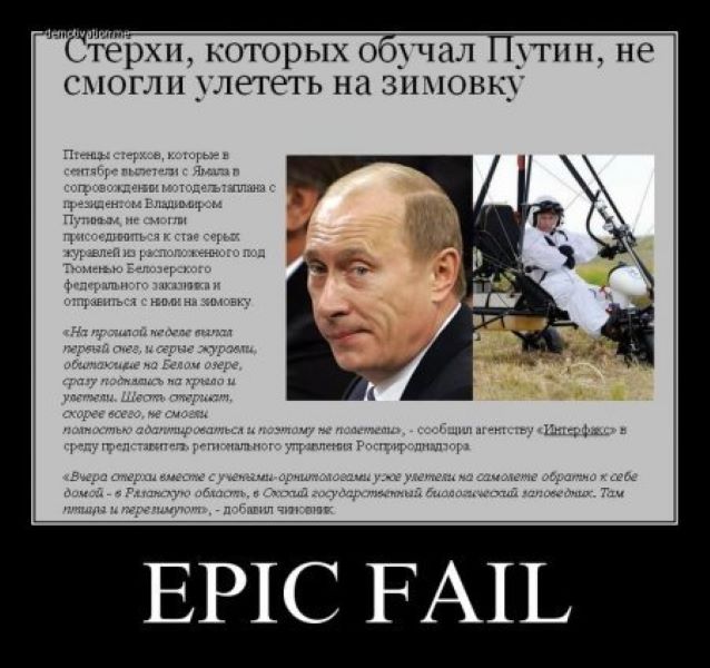 1421339016_1350144230_g09og4vzuean.jpg