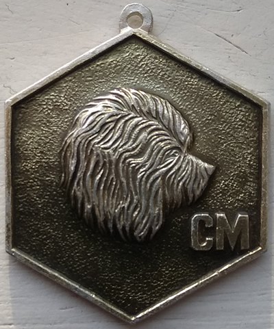 №1919-2.jpg