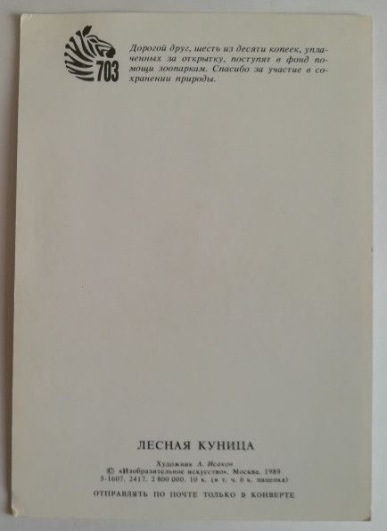 34ef089-595.jpg