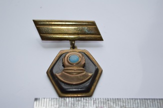 58023529.jpg