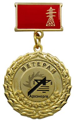 medal_veteran_Arhenergo.JPG