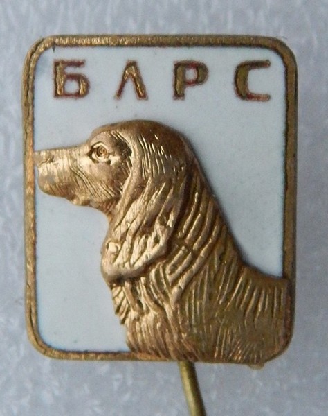 DSCN9474.JPG