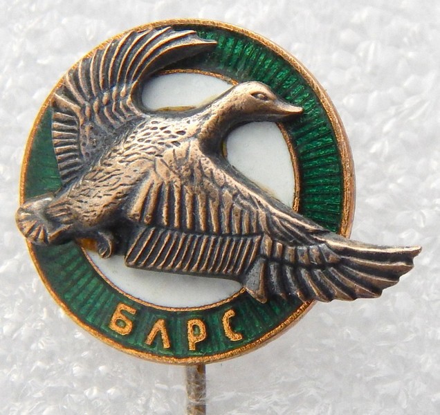 DSCN9586.JPG