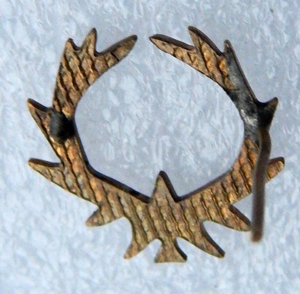 DSCN9504.JPG