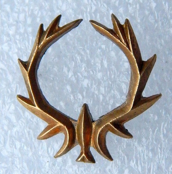 DSCN9503.JPG