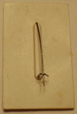 PC175259.JPG