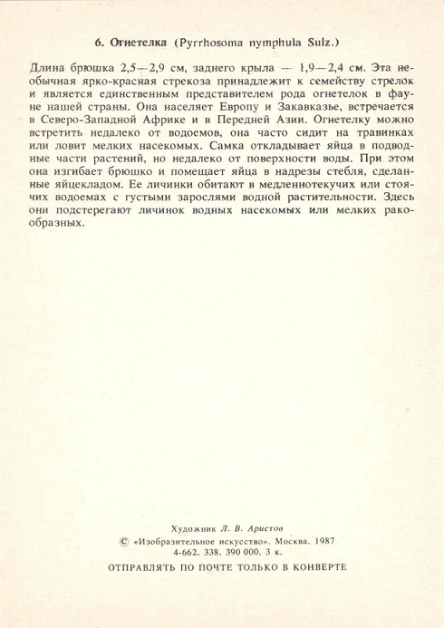 06 Стрекозы 1987. Огнетелка р.jpg