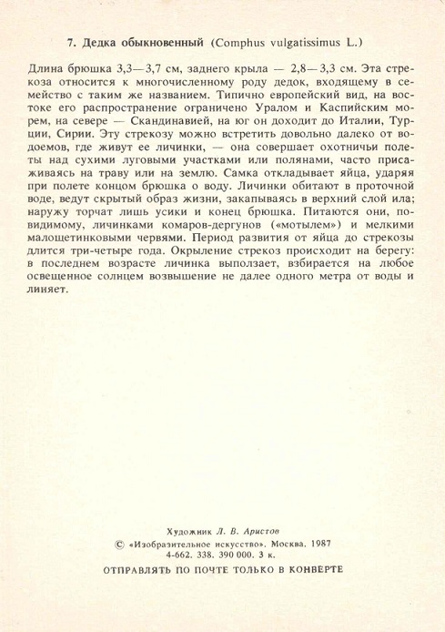 07 Стрекозы 1987. Дедка обыкновенный р.jpg