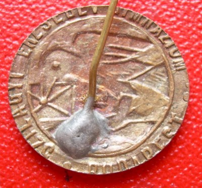 DSCN6974.jpg