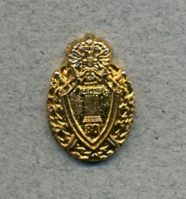img155.jpg