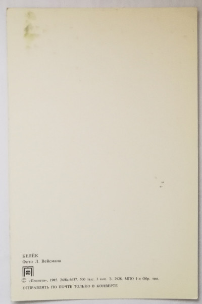 e46e642-600.jpg