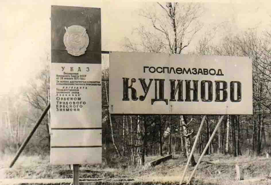 Screenshot_2020-02-09 1972—1975 Кудиново Памятный знак у въезда в село copy.jpg