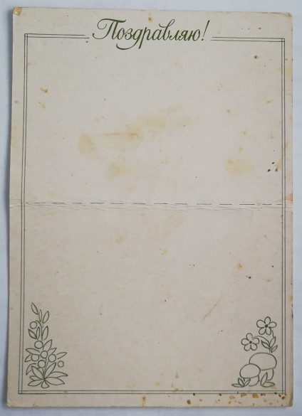 bbcd205-585.jpg