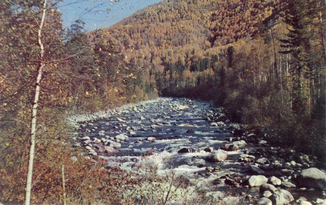 18 Алтайский заповедник. Горная река а.jpg