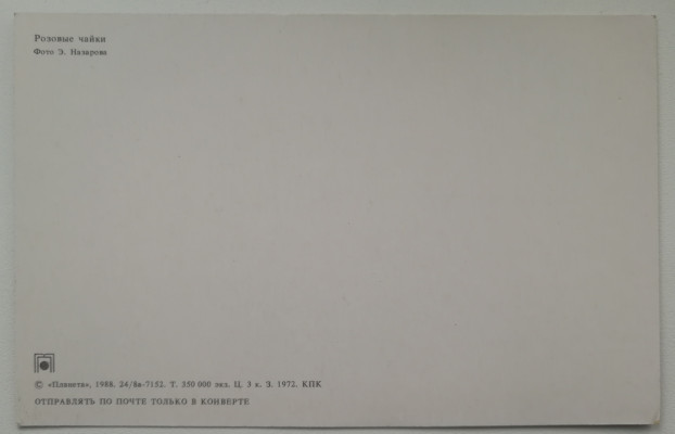 ccc6da24f-622.jpg