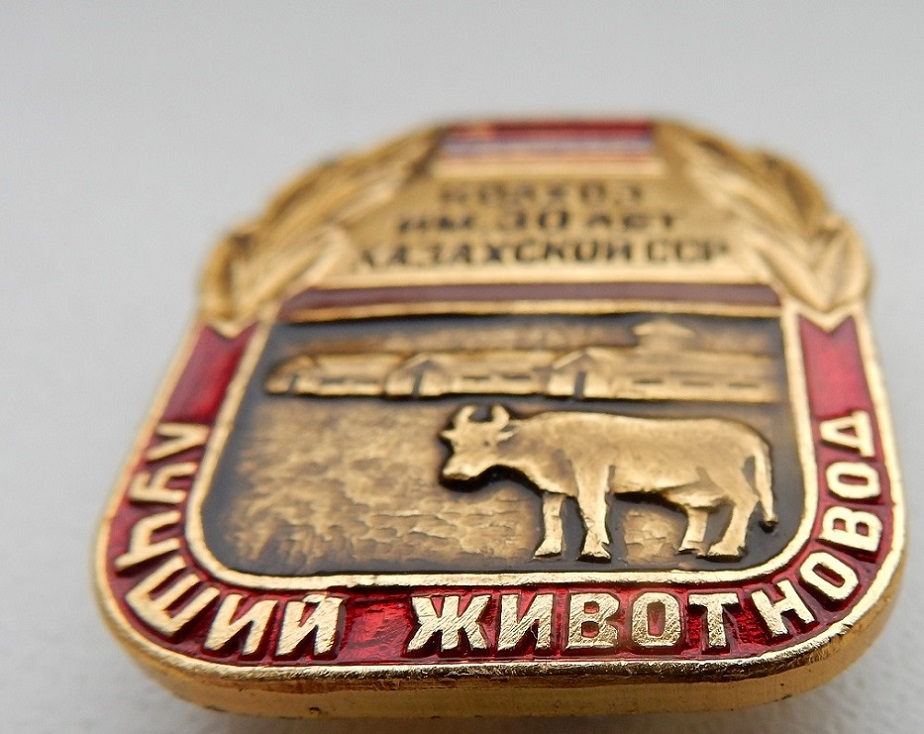 DSCN7740.JPG