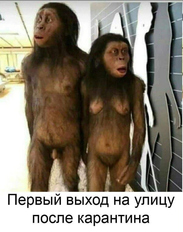 Карантин.jpg