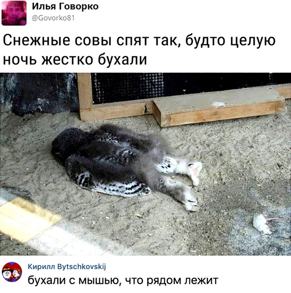 1cOQf4igCQc.jpg