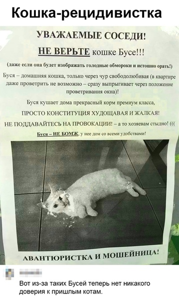 GUX3_5vTCZY.jpg