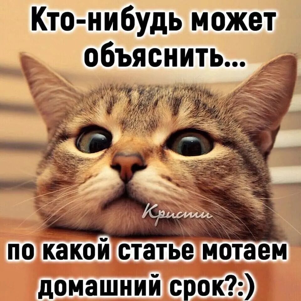 Вирус-статья.jpg