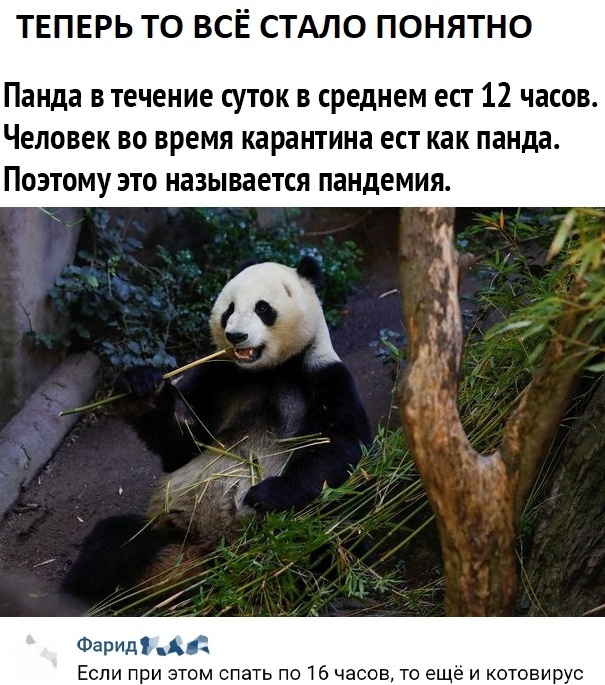 Улыбнитесь Панде.jpg