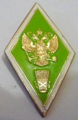962329805.jpg