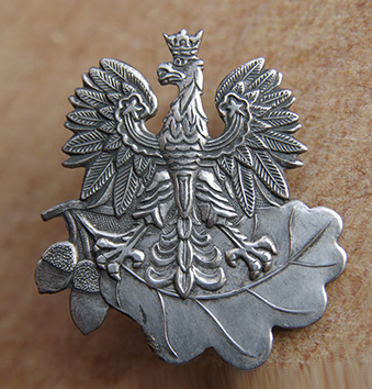 Кокарда лесной страже - 1.jpg