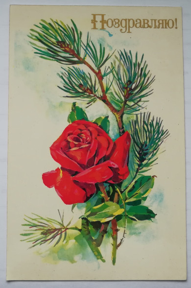 1269f318-588.jpg