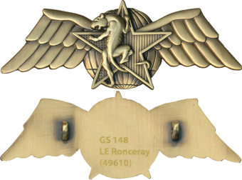 gu50148100R.R.I.R.H, C.P.E.S, Brevet Moniteur Combat de Choc,.jpg