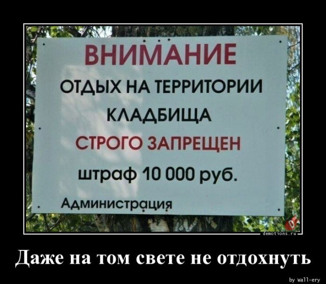 1594019910_demotivatory-4 (1).jpg