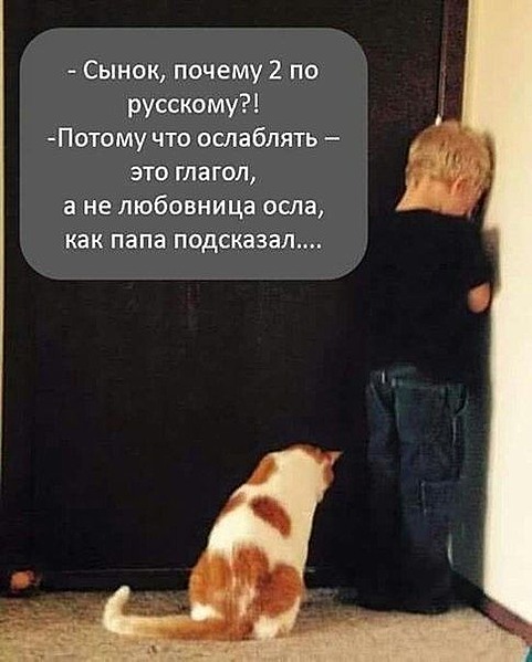 б.jpg