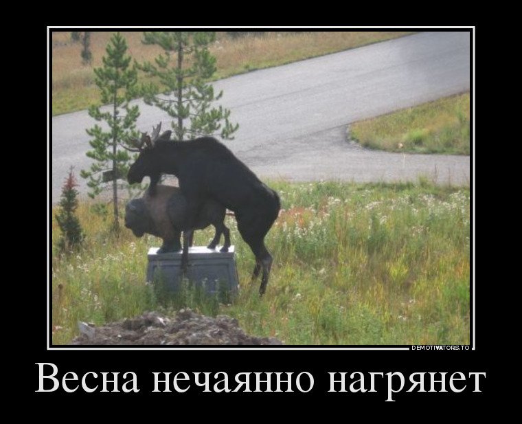 1488182229_novye-demotivatory-15.jpg