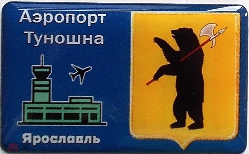 43.jpg
